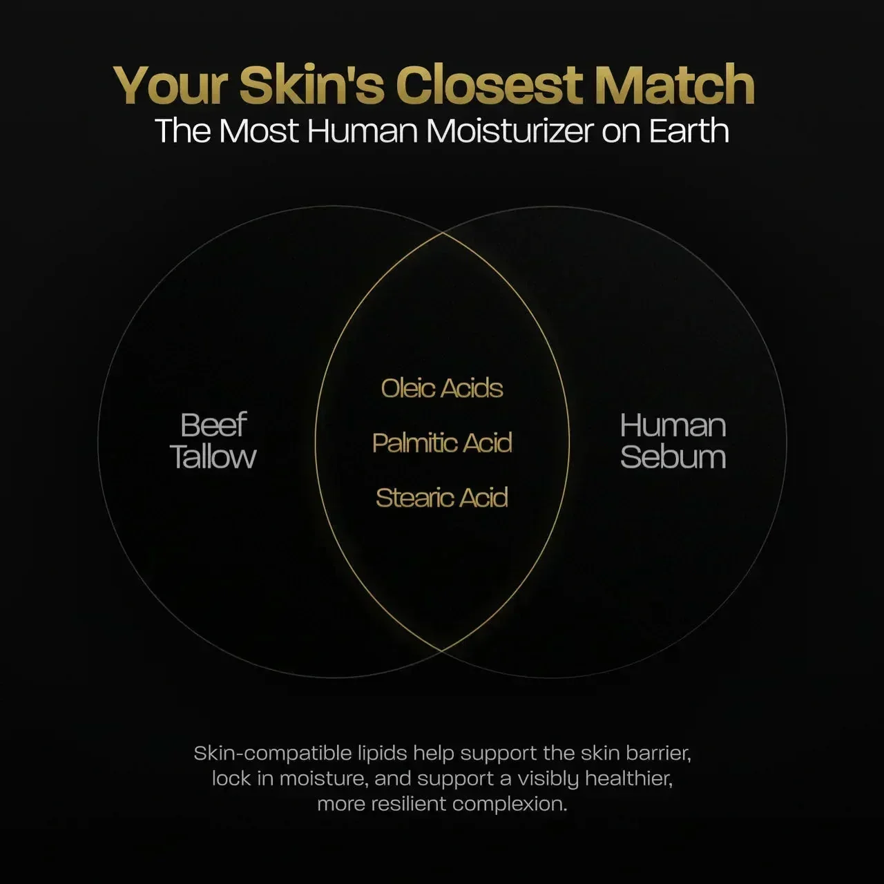 BASED Whipped Tallow Moisturizer Venn diagram comparing beef tallow and human sebum lipids.