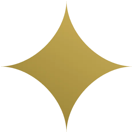 BASED premium quality star icon
